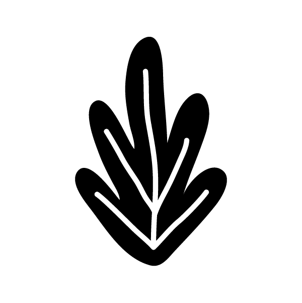 Brez želatine in drugih živalskih dodatkov