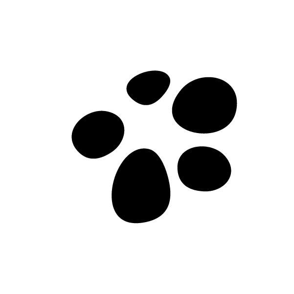 Brez umetnih sladil in sladkorja