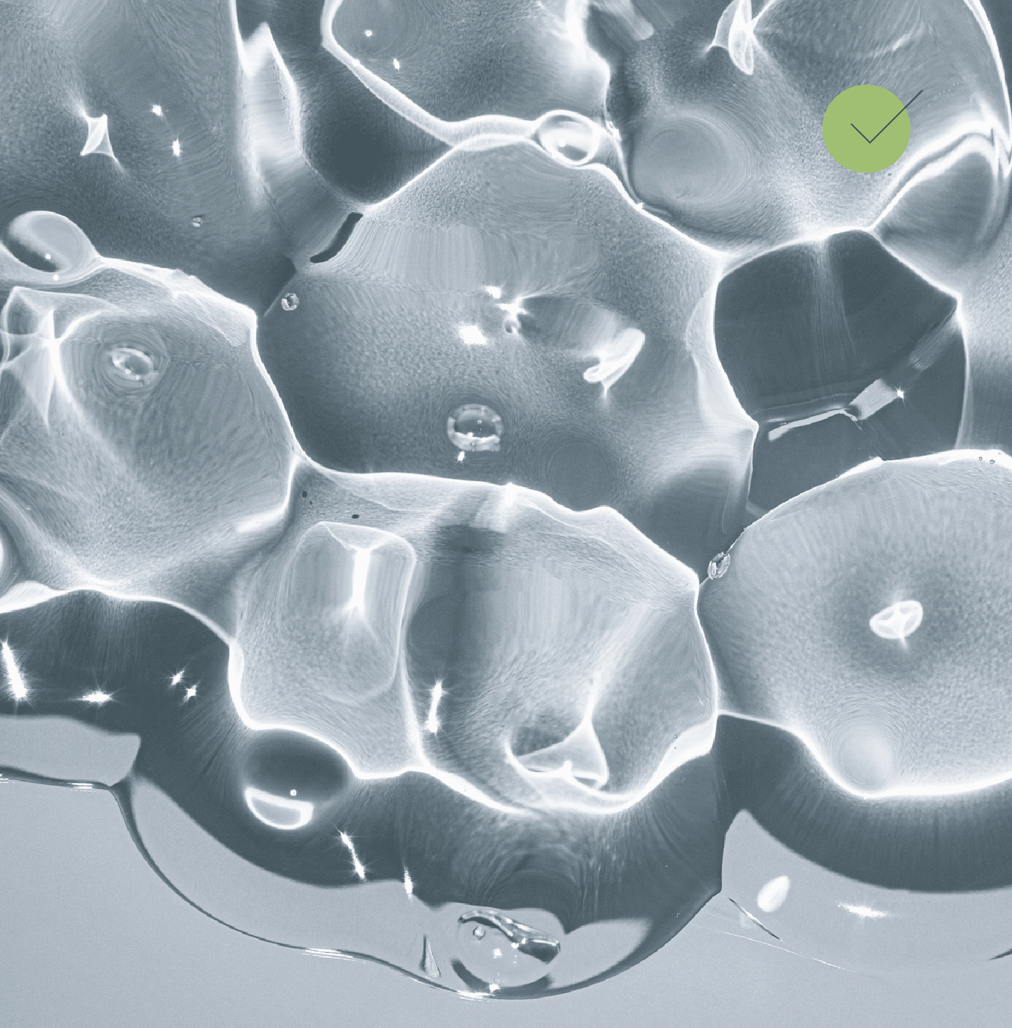 Brez umetnih sladil in sladkorja